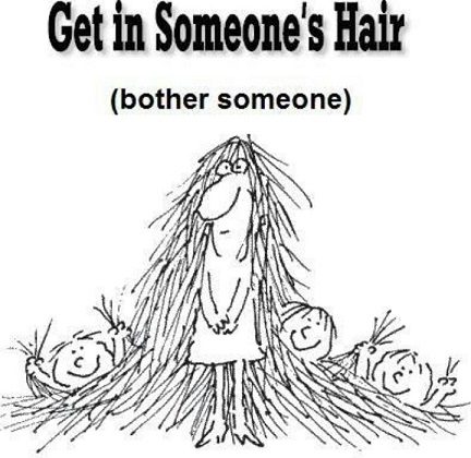Get-in-someones-hair