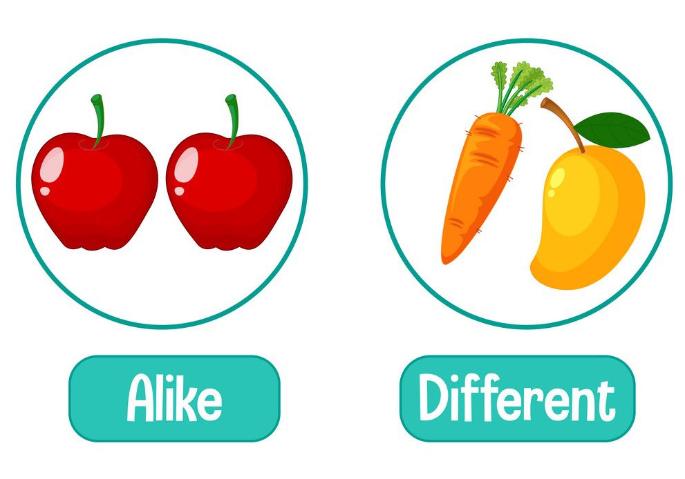 Una imagen que muestra dos círculos. En el círculo de la izquierda, hay dos manzanas rojas con la etiqueta "Iguales". En el círculo de la derecha, hay una zanahoria y un mango con la etiqueta "Diferente". Las etiquetas están en cuadros de color turquesa debajo de los círculos respectivos.