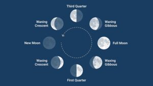 Las fases de la luna en inglés