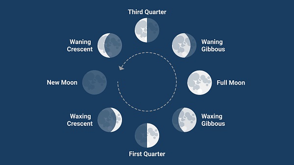 Las fases de la luna en inglés